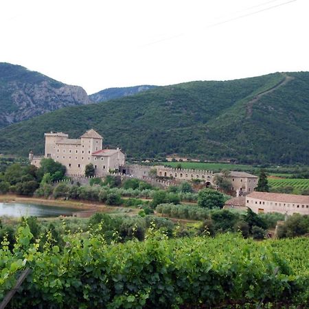Apartamento Castell de Riudabella Vimbodi I Poblet Exterior foto
