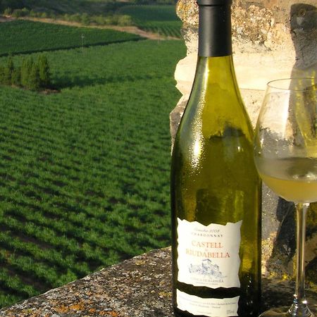 Apartamento Castell de Riudabella Vimbodi I Poblet Exterior foto