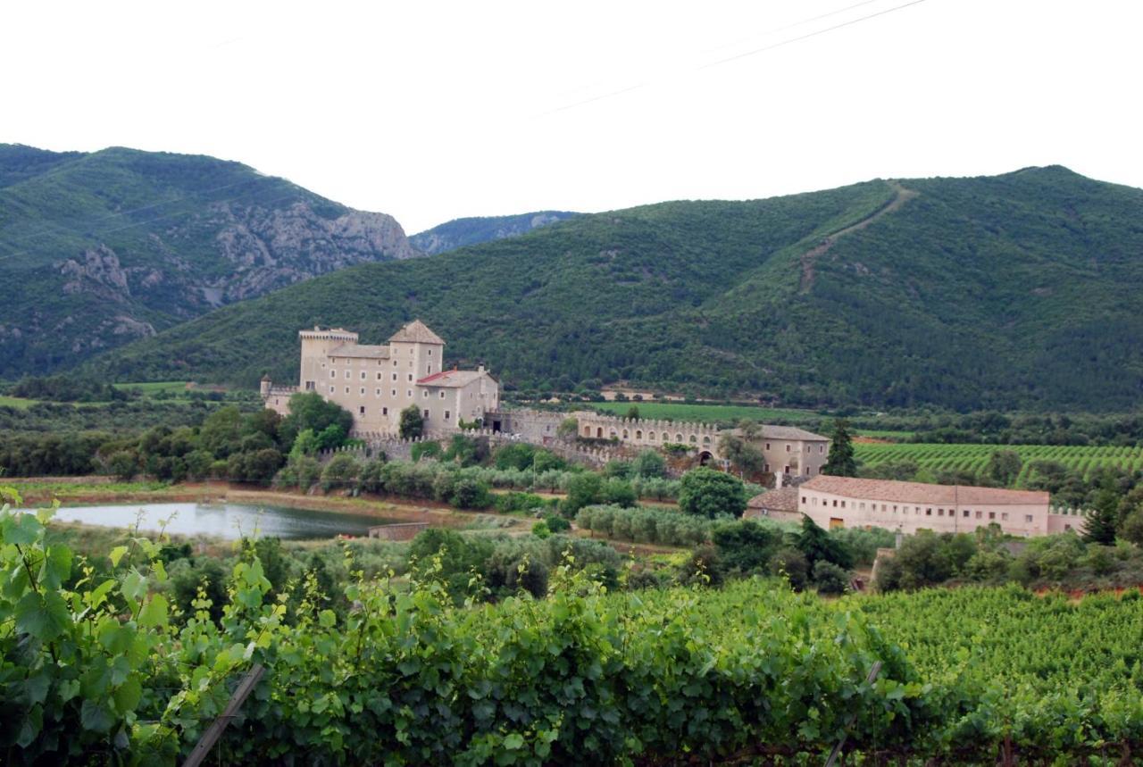 Apartamento Castell de Riudabella Vimbodi I Poblet Exterior foto