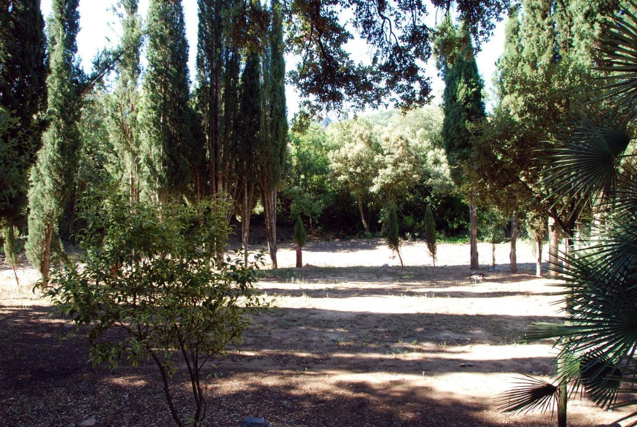 Apartamento Castell de Riudabella Vimbodi I Poblet Exterior foto