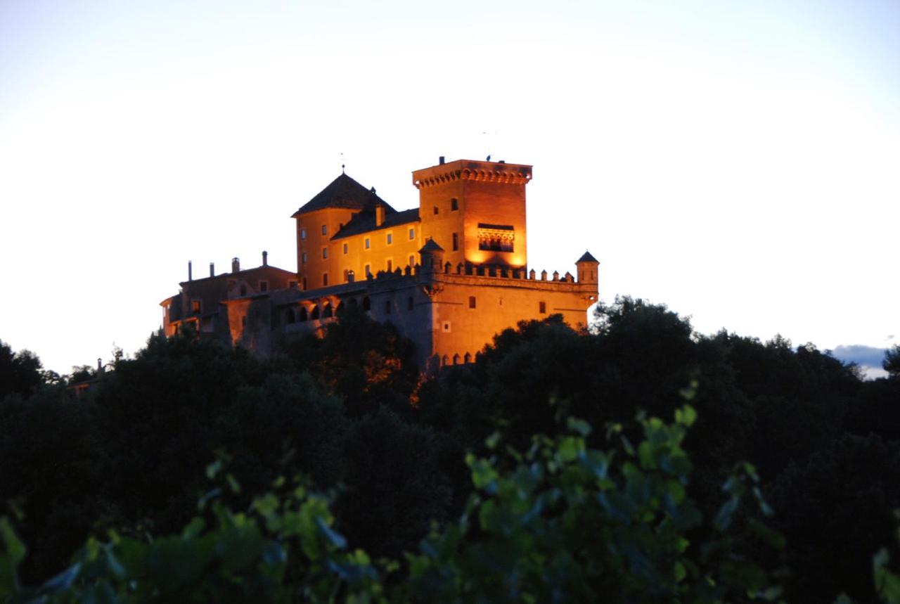 Apartamento Castell de Riudabella Vimbodi I Poblet Exterior foto
