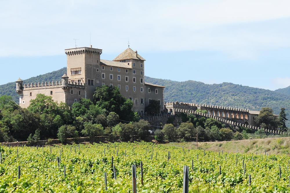 Apartamento Castell de Riudabella Vimbodi I Poblet Exterior foto